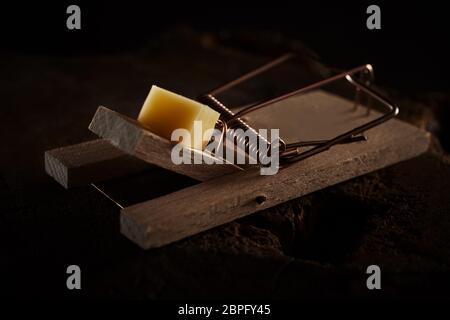 Nahaufnahme eines Holz- feder Mäusefalle Ködern mit Käse auf einem dunklen Hintergrund in ein Konzept der Schädlingsbekämpfung Stockfoto