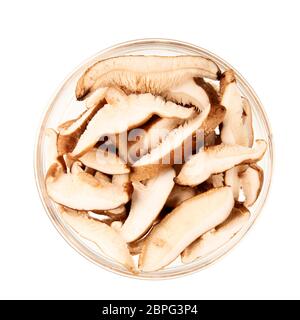 Shiitake Pilz Schichten in einer Glasschale und isoliert auf einem weißen Hintergrund. Stockfoto