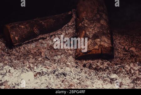 Feuer Flammen in Brand Katastrophen der Natur, Detail Stockfoto