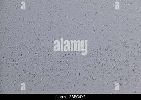 Regentropfen am Fenster. Stockfoto