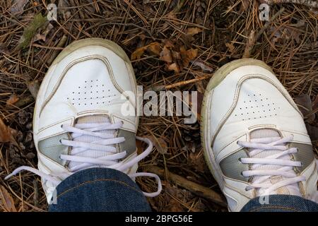 Beine in einem Sneaker auf einem Waldhintergrund Stockfoto