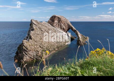 Bogen Geige Rock ist ein natürlicher See arch in der Nähe von portknockie Auf der nord-östlichen Küste von Schottland. Stockfoto