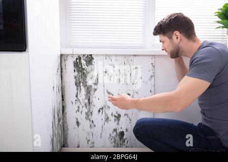 Seitenansicht eines jungen Mannes auf der Suche nach Schimmel an der Wand Stockfoto