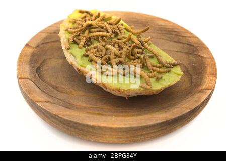 Sandwich mit essbaren Würmern mit Avocado Stockfoto