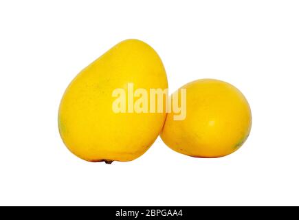 Frische reife Mangos auf weiß Stockfoto