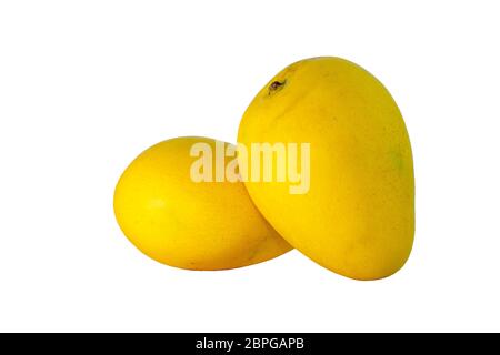 Mango, isoliert Stockfoto