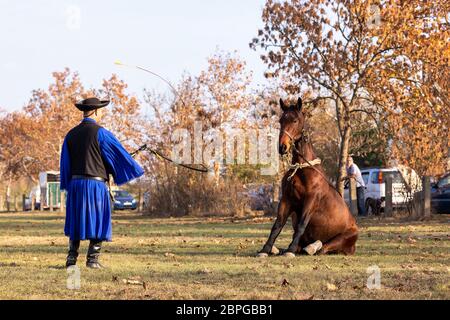 HORTOBAGY, UNGARN, NOVEMBER 04. 2018: Ungarische Csikos in traditioneller Tracht zeigen sein ausgebildetes Pferd. Traditioneller Pferdeherber von Hung Stockfoto