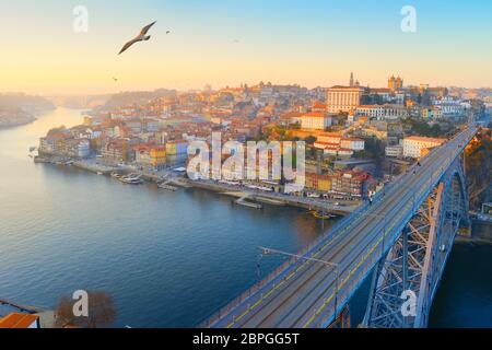 Die Skyline der Altstadt von Porto, mit fliegenden Möwen. Portugal Stockfoto