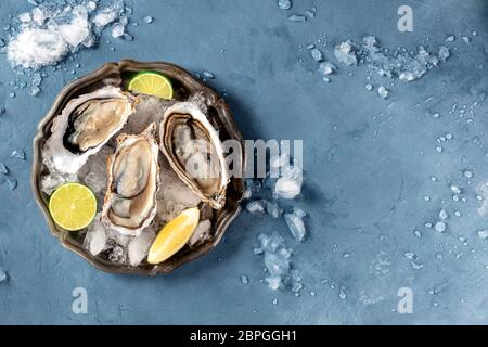 Austern auf Eis, Top Shot mit Zitrone und Limette, mit Kopierraum Stockfoto