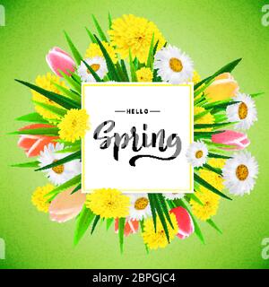 Hello Spring Banner Hintergrundvorlage mit schönen realistischen Blumen und handgezeichneten Kalligraphie. Vektorgrafik. Stock Vektor