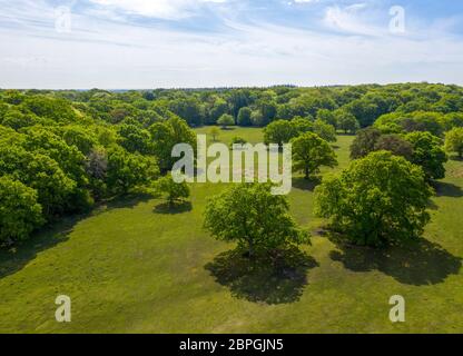 Erstaunliche Drohne Blick auf grüne Bäume wachsen in Wiese und Wald gegen bewölkten Himmel an sonnigen Tag in der Natur Stockfoto