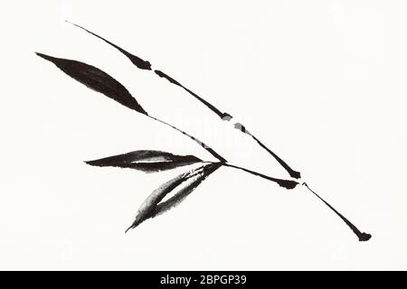 Ausbildung Zeichnung in Sumi-e (suibokuga) Stil mit Wasserfarben - Bambus Zweig ist die Hand, die auf cremigem Papier gezeichnet Stockfoto