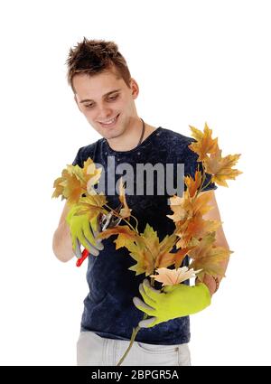Ein lächelnder junger Mann, der mit einem Zweig Herbstblätter in der Hand und einem Schneider in der anderen, isoliert auf weißem Hintergrund, steht Stockfoto