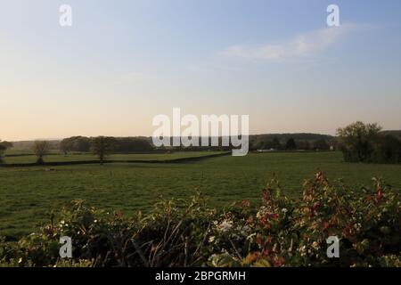 Blick über Felder in der Abenddämmerung, Brabourne Lees, Ashford, Kent, England, Vereinigtes Königreich Stockfoto