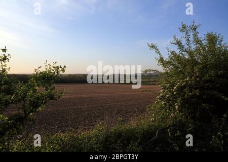 Blick über gepflügtes Feld in Richtung North Downs von der Straße außerhalb Brabourne Lees, Ashford, Kent, England, Großbritannien Stockfoto