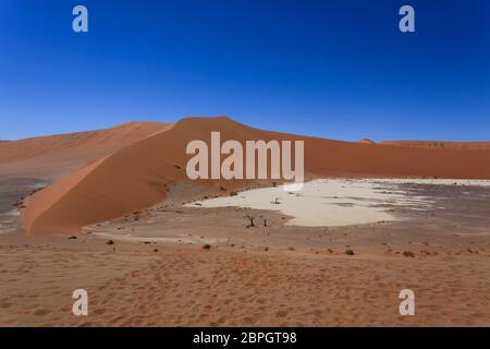 Panorama der roten Dünen von Hidden Vlei, Sossusvlei Namibia Stockfoto