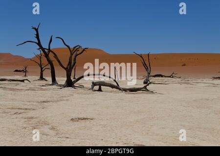 Ein Blick vom Dead Vlei, Sossusvlei Namibia Stockfoto