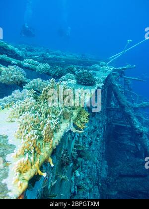 Wrack des Passagierschiffes Salem Express bedeckt mit Korallenriff am Boden des Roten Meeres in Ägypten. Stockfoto