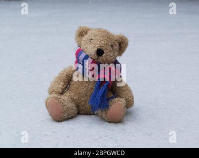 Alte Teddybär in einem Schal sitzt auf weißem Schnee, winter day Stockfoto