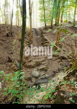 Alte Steintreppe im grünen Wald Stockfoto