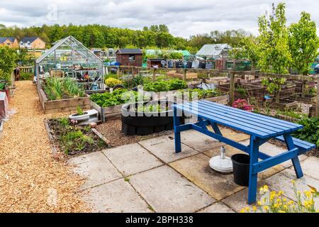 Ansicht einer kleinen Kleingartenschicht mit erhöhten Gemüsebeeten, Eglinton Growers, Kilwinning, Ayrshire, Schottland, Stockfoto