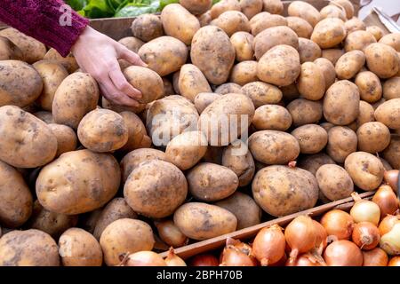 Auswahl sehr gesund Gemüse frisch geerntet Kartoffeln aus einem Haufen in einem Lebensmittelgeschäft. Shopping-Konzept Stockfoto