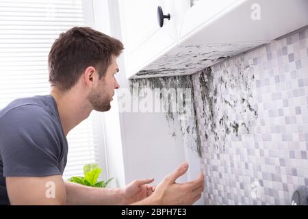 Seitenansicht eines jungen Mannes auf der Suche nach Schimmel an der Wand Stockfoto