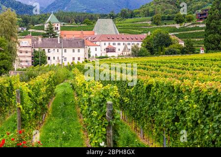 Kloster Neustift mit Weinbergen, Brixen, Italien, Kloster Neustift mit Weinbergen, Brixen, Italien Stockfoto