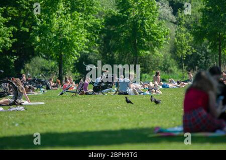 Vielen Menschen Im Frankendaelpark Amsterdam Niederlande 2020 Stockfoto