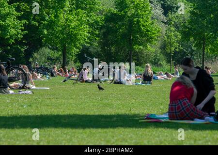 Vielen Menschen Im Frankendaelpark Amsterdam Niederlande 2020 Stockfoto