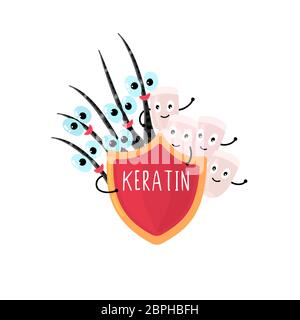 Glückliche Nägel und Haare spähen unter dem roten Schild hervor, das Keratin sagt. Schönheit und Pflege. Hand gezeichnet niedlichen Cartoon-Design. Beschriftung. Werbung, Stockfoto