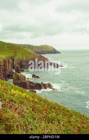 Blick auf die Pembrokeshire Küste in Wales, Großbritannien Stockfoto