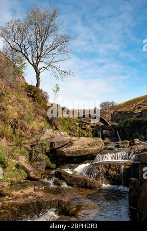 Three Shires Head, AX Edge Moor, wo Cheshire, Derbyshire und Staffordshire aufeinander treffen, England, Großbritannien Stockfoto