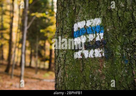 Kennzeichnung der touristischen Route auf dem Baum gemalt. Reiseroute unterzeichnen. Jahreszeit der Herbst. Stockfoto