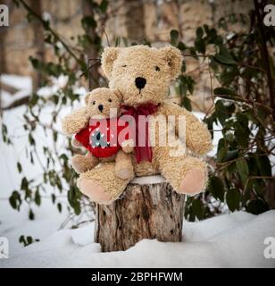 Zwei teddy Bären sitzen umarmen auf Stump, winter Stockfoto