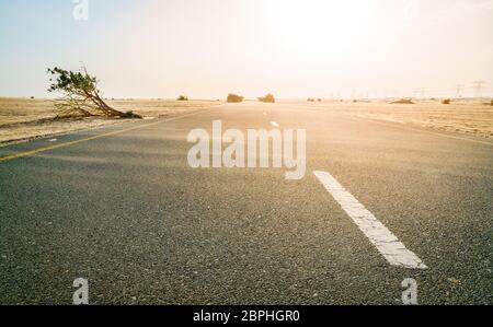 Sand weht über einer Wüste Straße in der Nähe von Dubai in den Vereinigten Arabischen Emiraten. Stockfoto