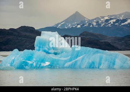 Eisberge vom Glacier Grey kalbten auf Lago Grey, Torres del Paine Nationalpark, Patagonien, Chile, Südamerika Stockfoto