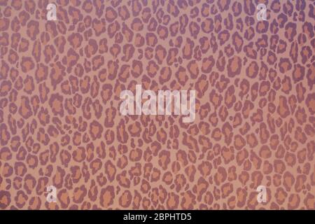 Leopard wild Tier Muster Hintergrund oder Textur, Tapete Konzept Stockfoto
