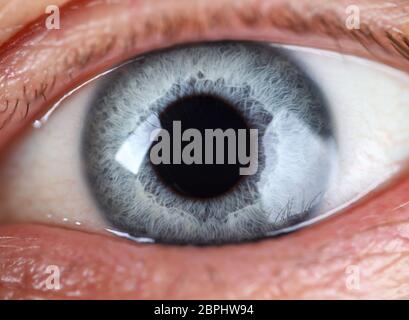 Männlich links blau grau gefärbte Augen extreme Nahaufnahme Stockfoto