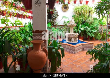 Detail eines typisch andalusischen Patio mit einem Brunnen in der Mitte und dekoriert mit verschiedenen Arten von Pflanzen und Töpfen. Córdoba, Andalusien, Sp Stockfoto
