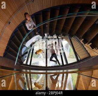 Blick durch die Wendeltreppe von oculus in Richtung Glasboden. Space Needle, Seattle, Usa. Architekt: Olson Kständig, 2020. Stockfoto