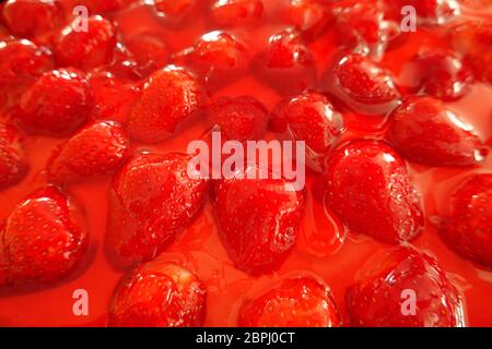 Erdbeerkuchen aus nächster Nähe von Gelee Erdbeere Belag, ein Detail Blick auf eine leckere frische hausgemachte Kuchen mit vielen roten Erdbeeren Stockfoto