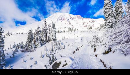 Pfad mit Schnee im Paradies, landschaftlich schöne Aussicht auf den Mt Rainier Nationalpark, Washington, USA.. Stockfoto