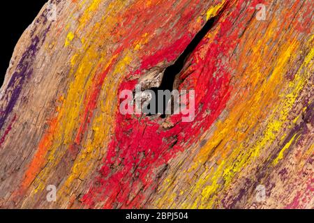 Closeup geschossen von einem bunten Holz- Oberfläche in Schwarz Zurück Stockfoto