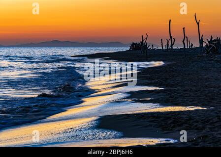 Der Strand von Alberese im Naturpark Uccellina bei Sonnenuntergang mit der Insel Elba im Hintergrund Stockfoto