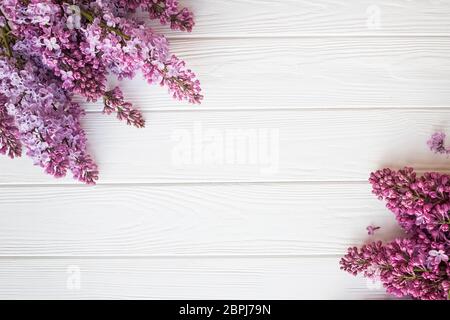 Die schönen Fliederblumen auf einem weißen Holzhintergrund Stockfoto