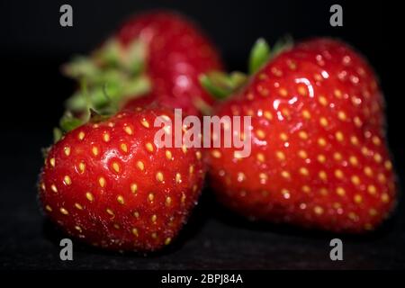 Drei reife saftige Erdbeeren auf einer grauen Schieferplatte Stockfoto