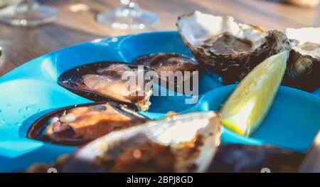 Teller Austern und Miesmuscheln gekocht und roh auf einem Tisch in der Nähe des Meeres im Süden Frankreichs Stockfoto