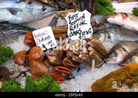 Frische Meeresfrüchte am Markt aus Schottland Stockfoto