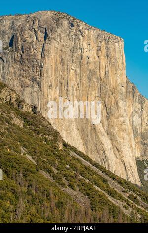 Blick auf El Capitan vom Tunnel View Point im Yosemite Nationalpark, Kalifornien, USA Stockfoto